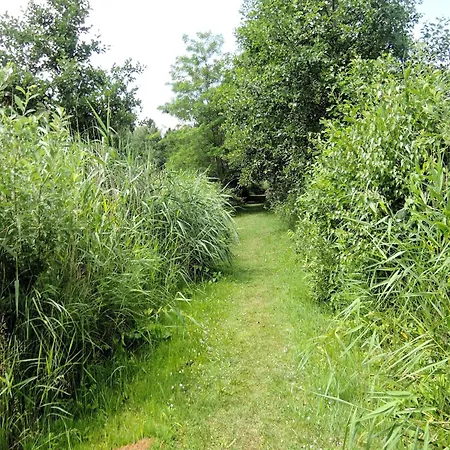 Relaxing Nature By Wolin S Shores