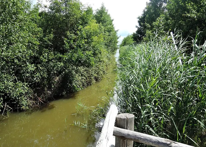 Relaxing Nature By Wolin S Shores *